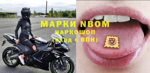 крисы Аркадак