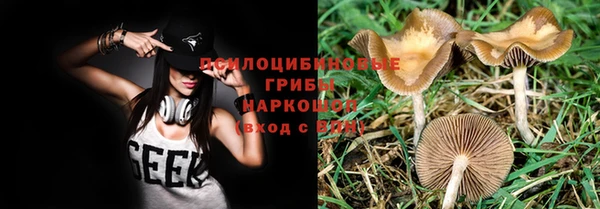 альфа пвп Арсеньев