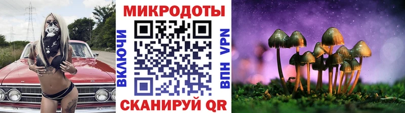 Псилоцибиновые грибы Psilocybine cubensis Микунь